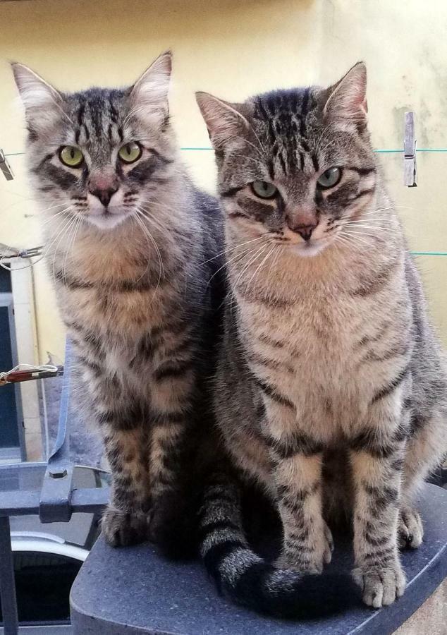 I Mici Di Emy Appartement Catánia Buitenkant foto